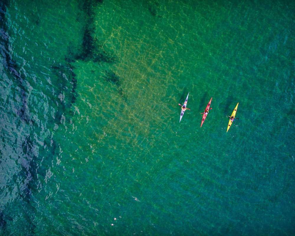 Ducks Canoes